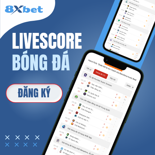 Livescore bóng đá