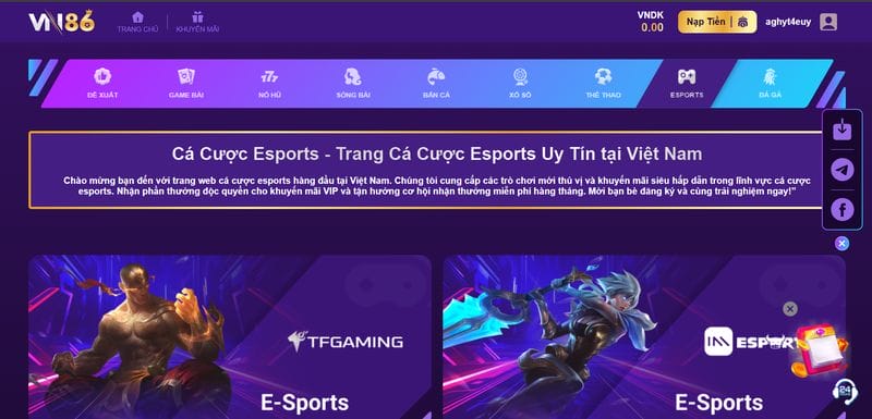 VN86 cung cấp hàng loạt thể loại cá cược Esports