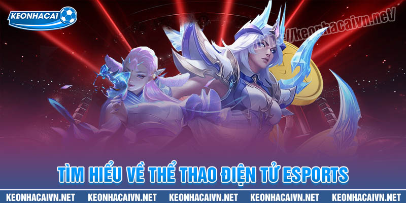 Tìm hiểu về thể thao điện tử Esports